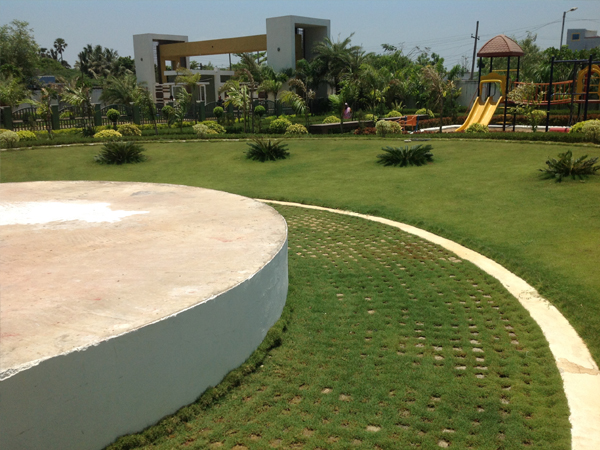 chennai swimming pool maintenance, chennai gardening, chennai landscape architects, landscape in chennai, landscaping in chennai,